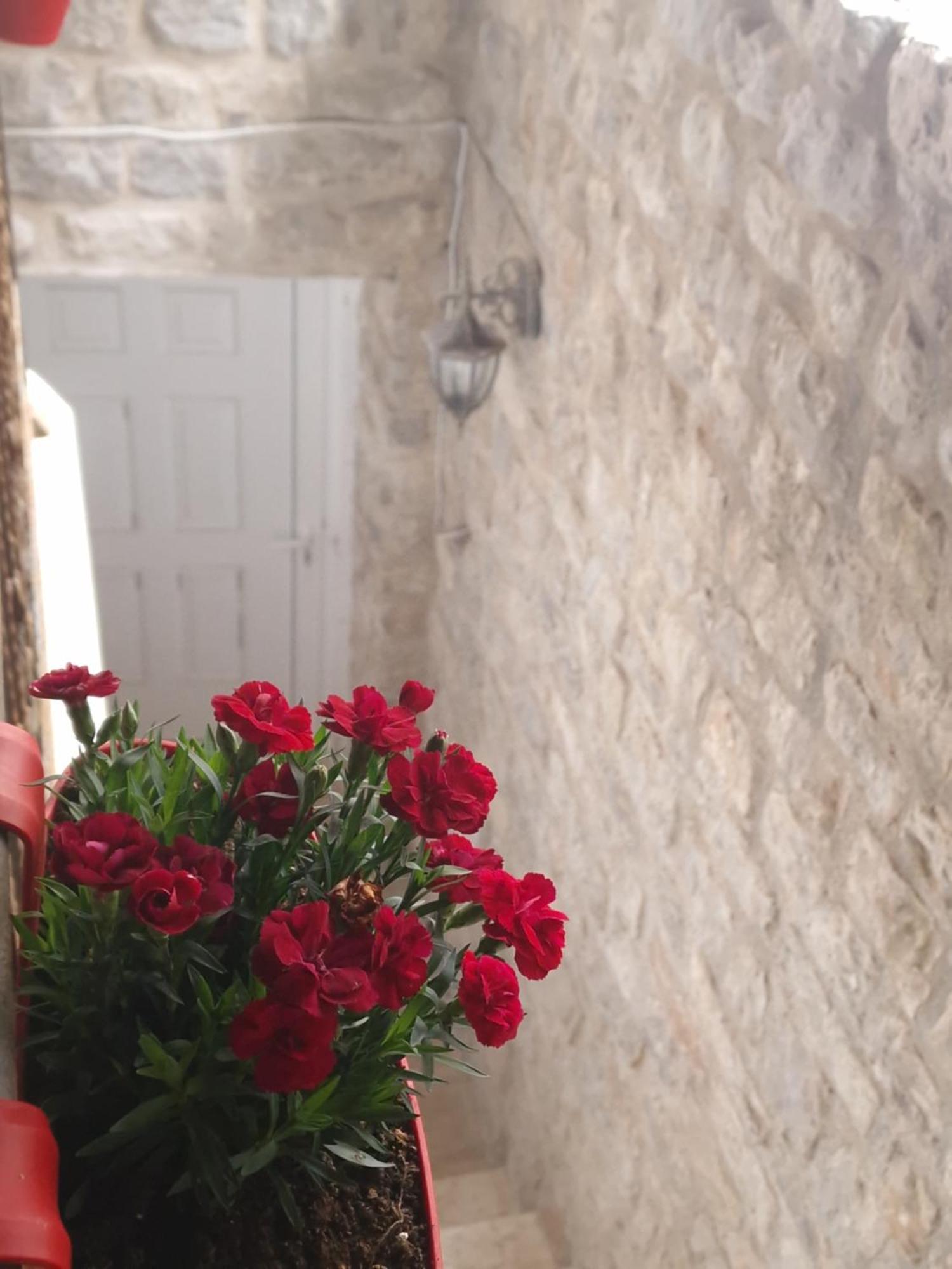 Rooms Dana Old Town Budva Dış mekan fotoğraf